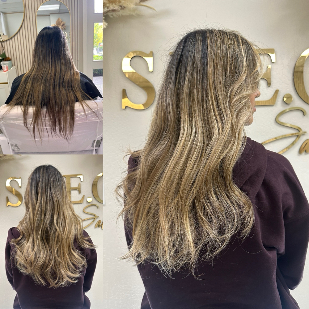 Full Highlight and Haircut at S.H.E.O Salon in Pleasanton, CA