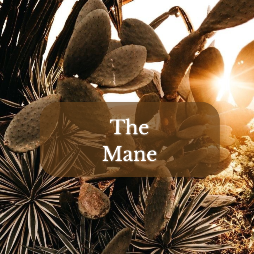 The Mane - Long Lengths at Magnolia on Main in Keene, NH