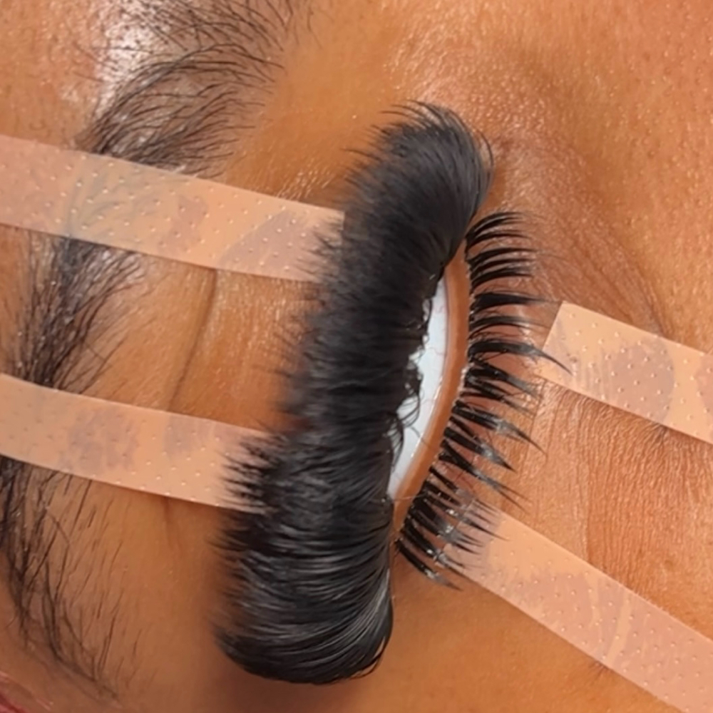 Bottom Lashes