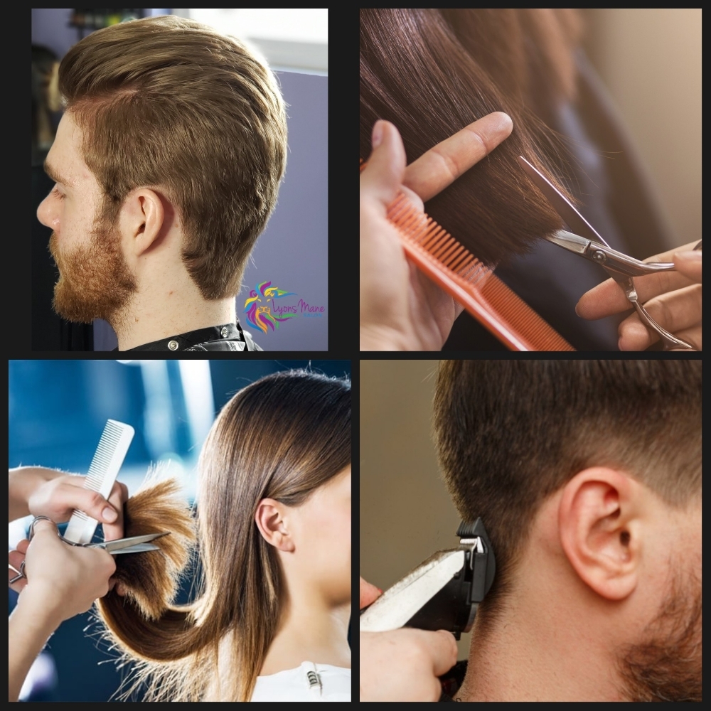 Dry Clipper / Scissor Haircut at Lyons Mane Salon in Livingston, MT