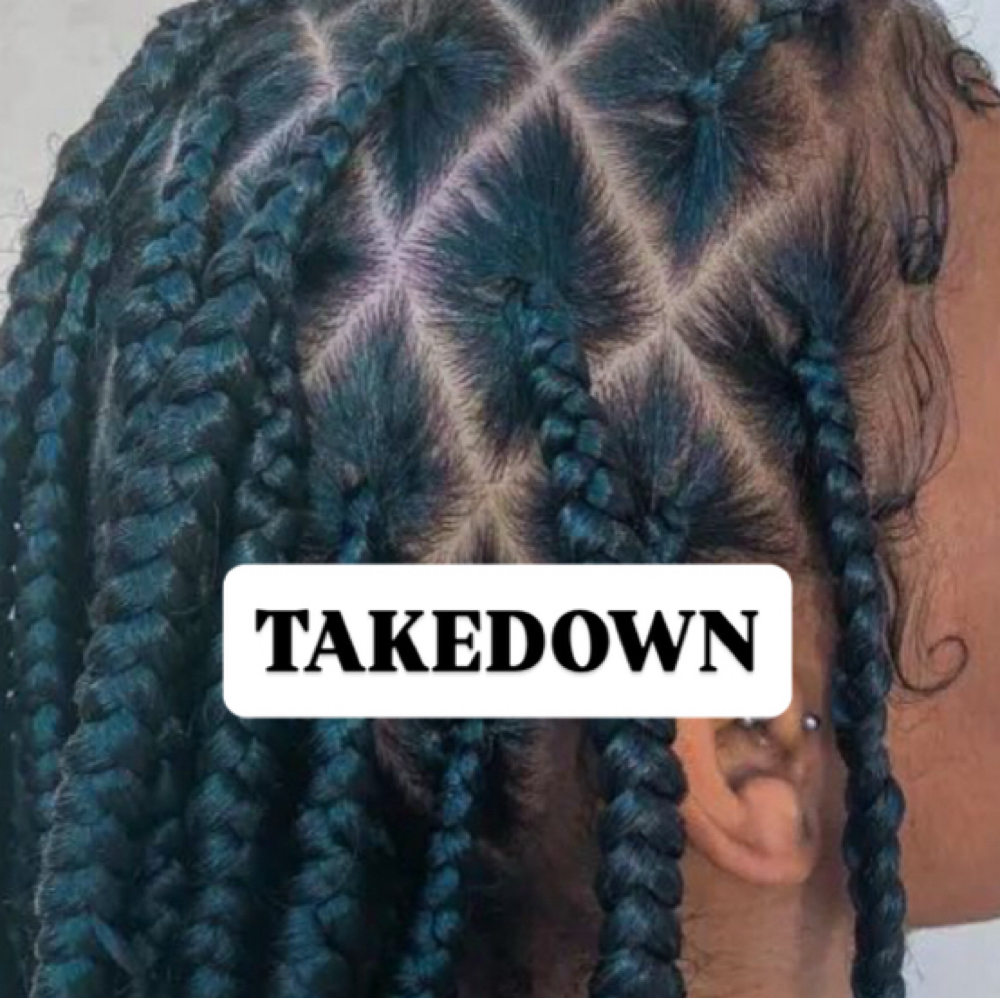 Braid Takedown at Epik78 Mobile Salon & Raw Hair in Cypress, TX