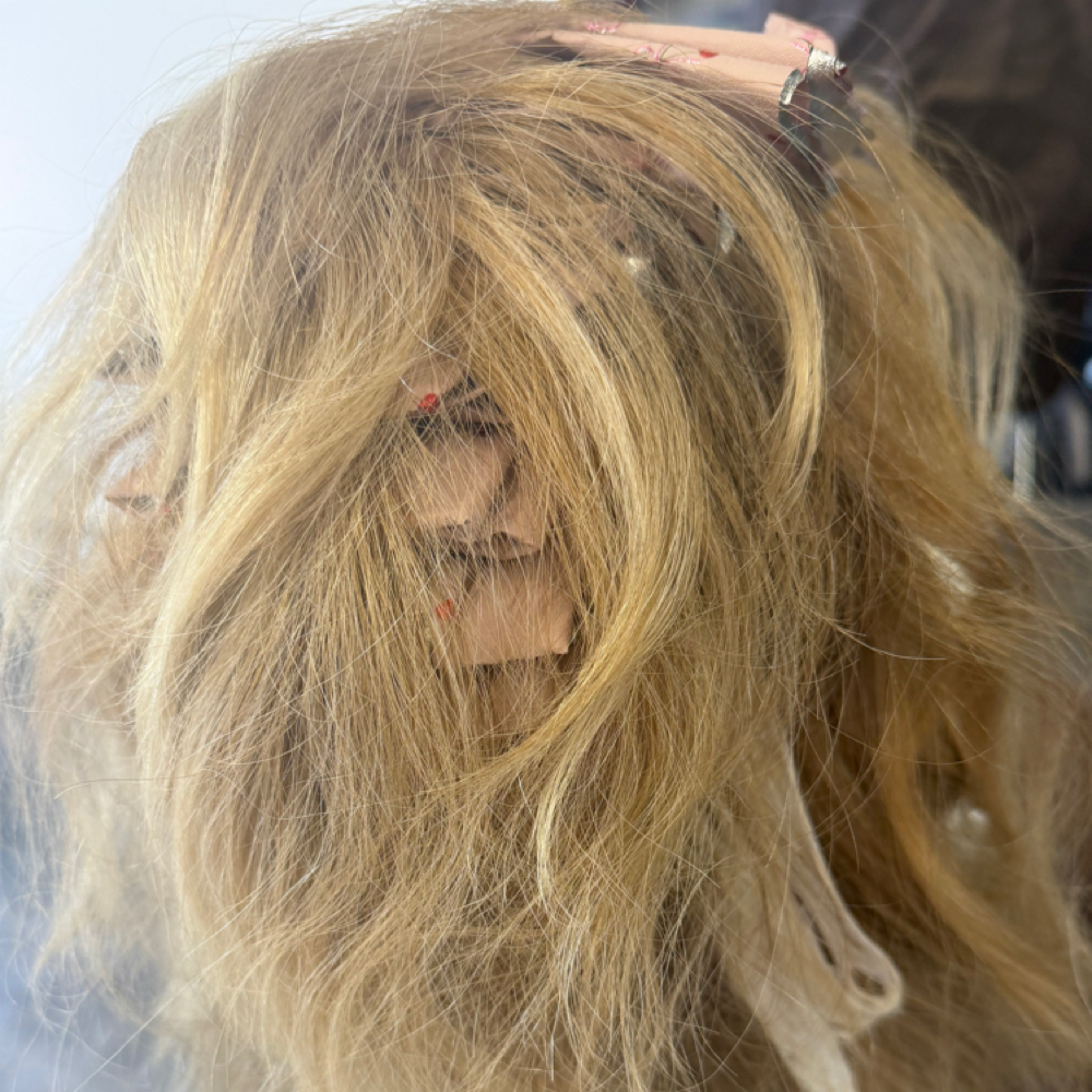 Full Highlight at New Roots Beauty Bar By Susan M in Cañon city, CO