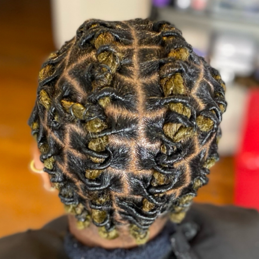 Starter Locs at DLUXE Effect in Saint Louis, MO