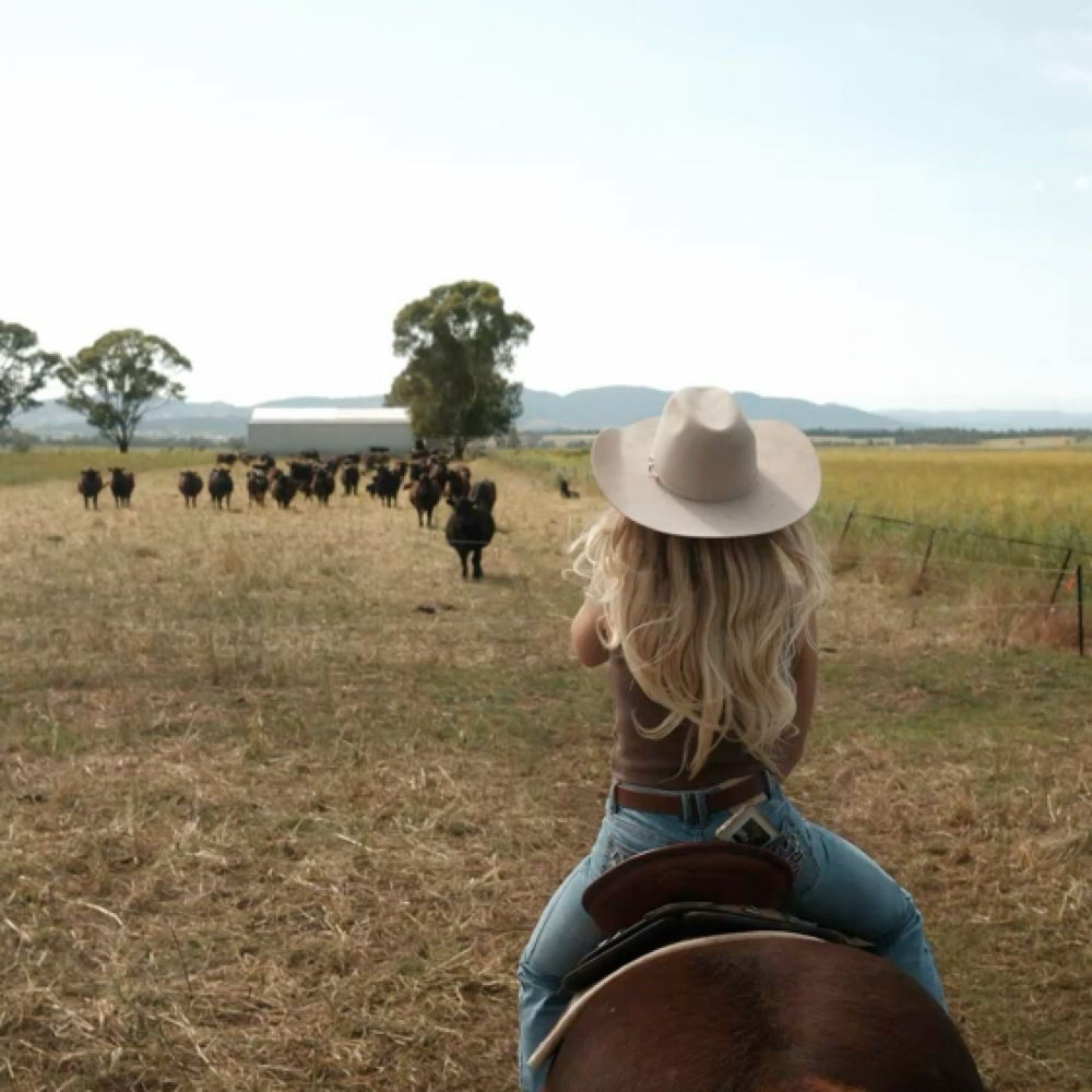 Color Correction w/ Jill at Shine Salon in Dana Point, CA