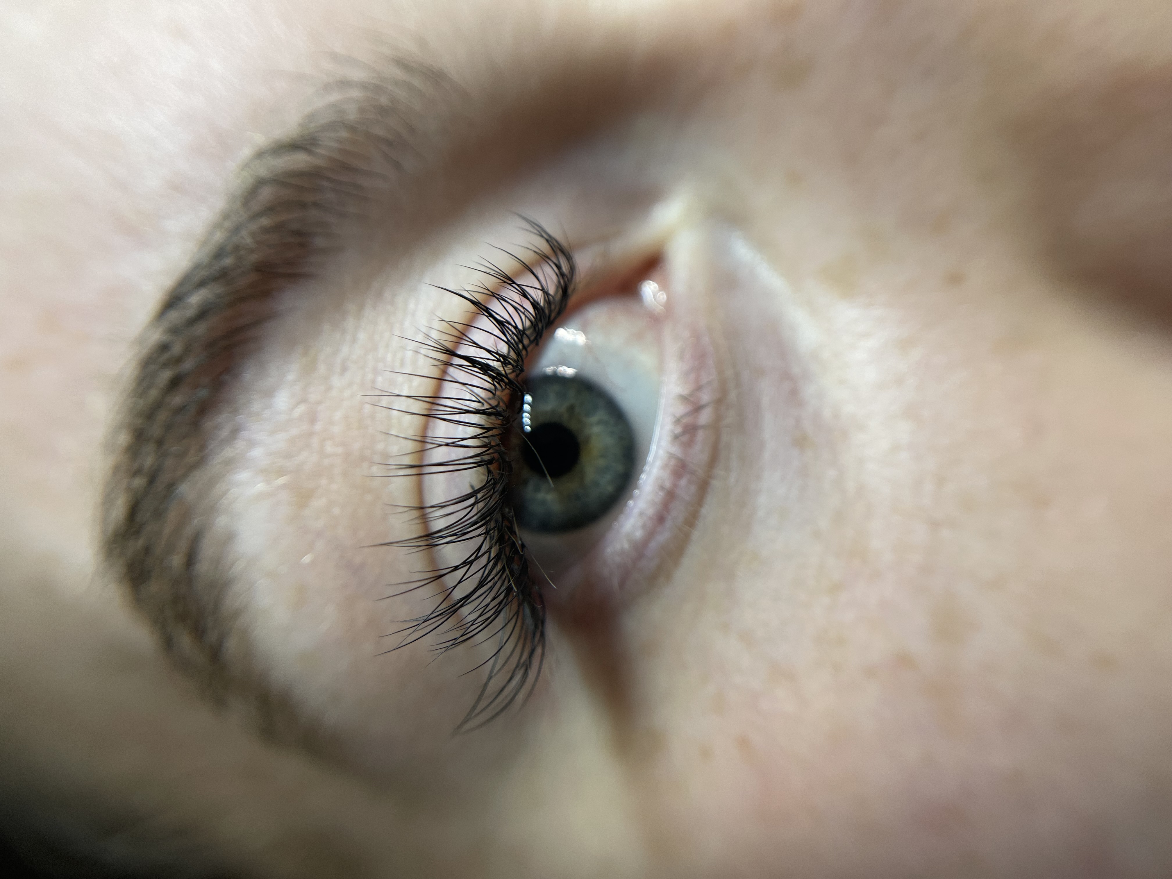 THE CLASSIC 3 WEEK FILL at Forever Lashed in Norman, OK