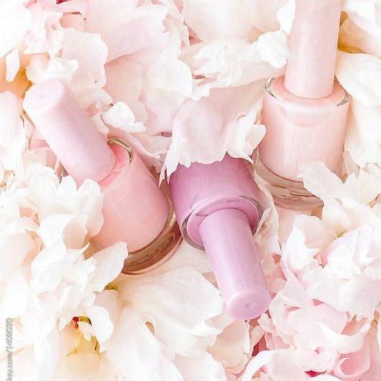 BASIC SPA MANICURE at D'Amour Professional Nail Services in Edina, MN