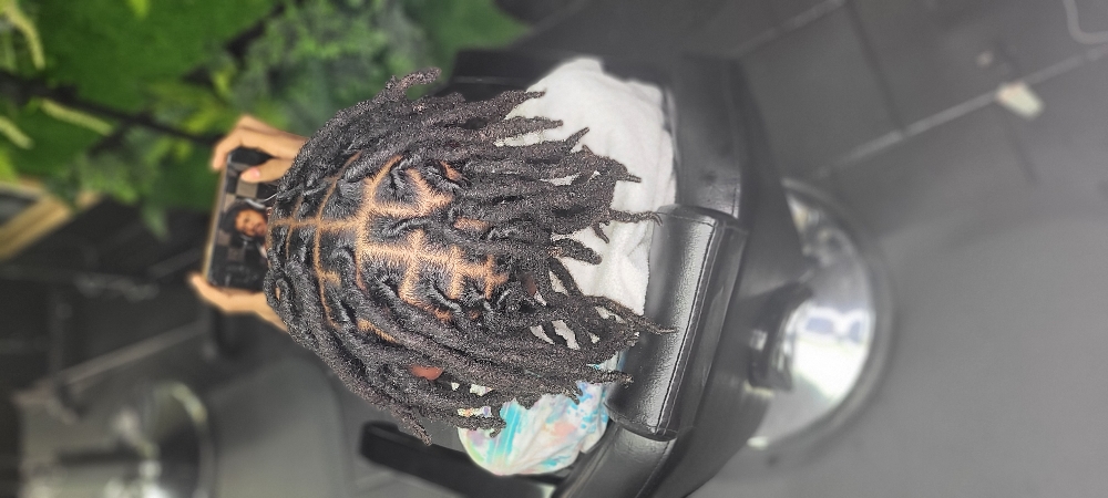 Starter Locs