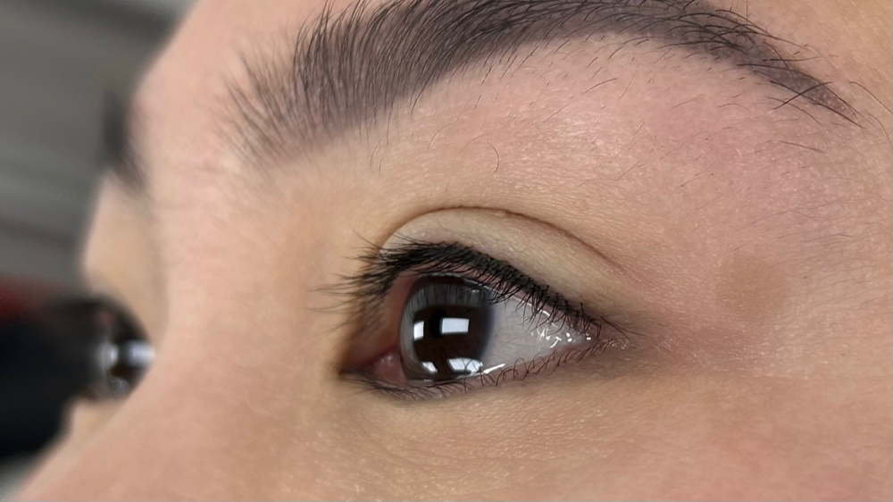 Lash Liner (Top ONLY)