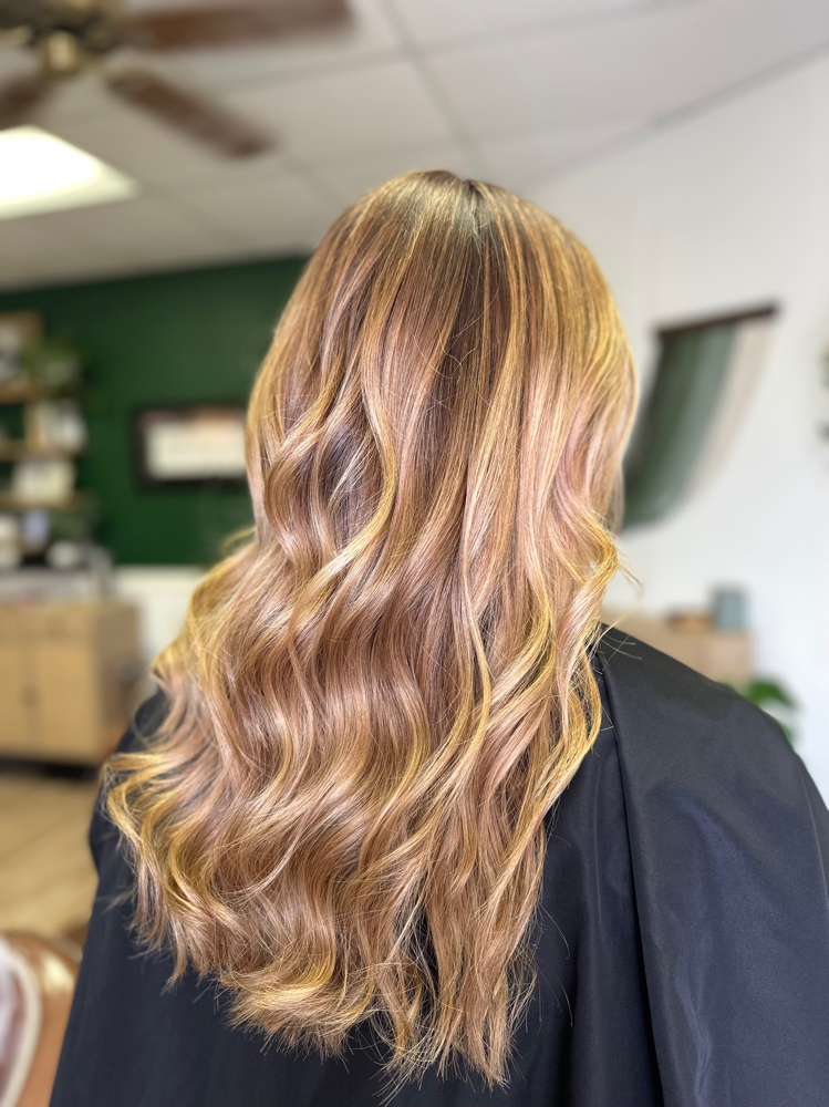 Shampoo And Style