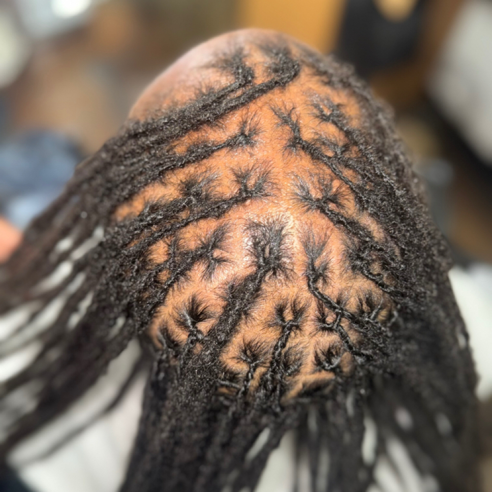 76-100 Locs Overhaul at LASHDAE of Roots To Royalty Studio in Phoenix, AZ