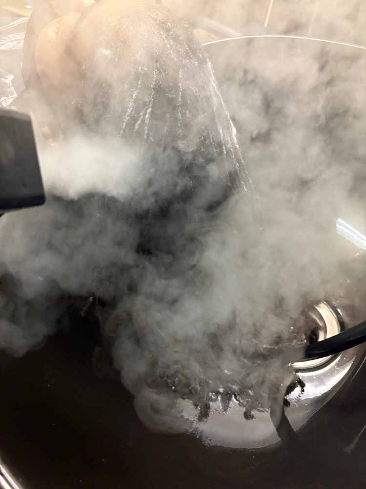 Hair Steaming Treatment
