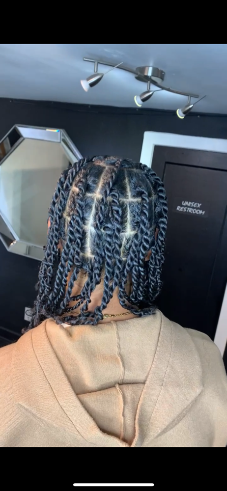 2 Strand Twist/plaits (large) at The Labb in Los Angeles, CA