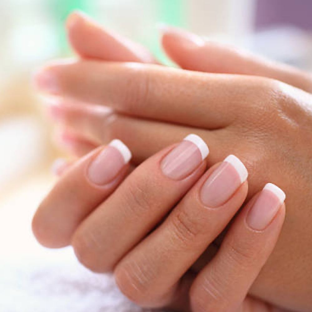 Add-On: French Tip at Mane Society Salon in Warsaw, IN