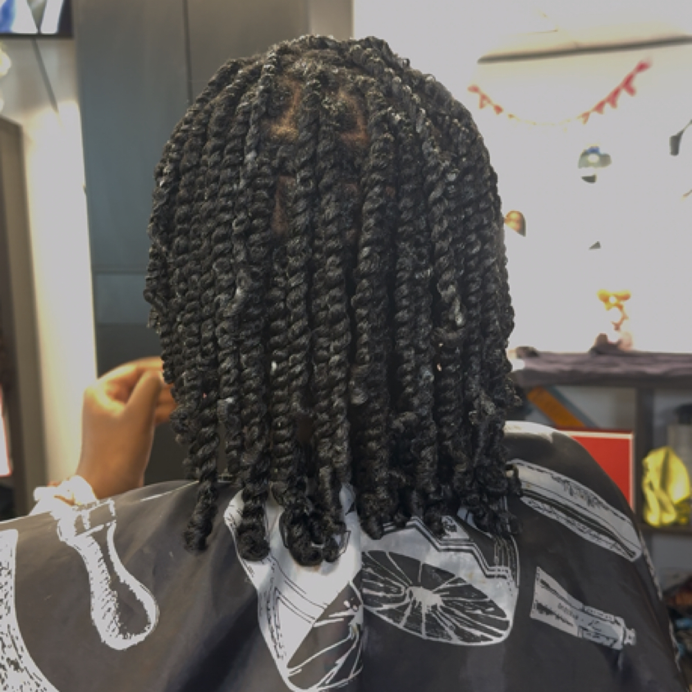 Two strand twist at Exclusively The Luxe Salon in Missouri City, TX