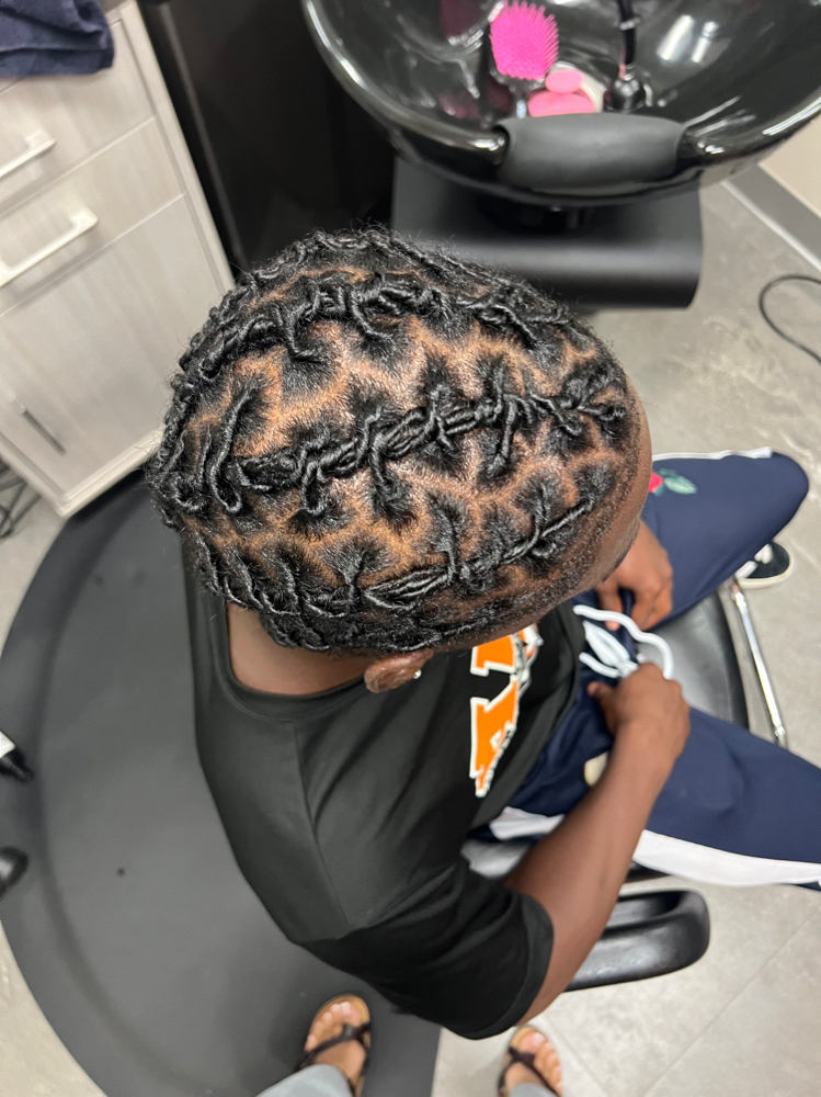 Starter Locs