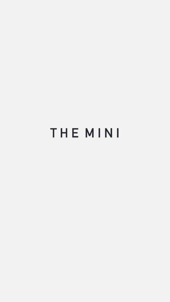 The Mini