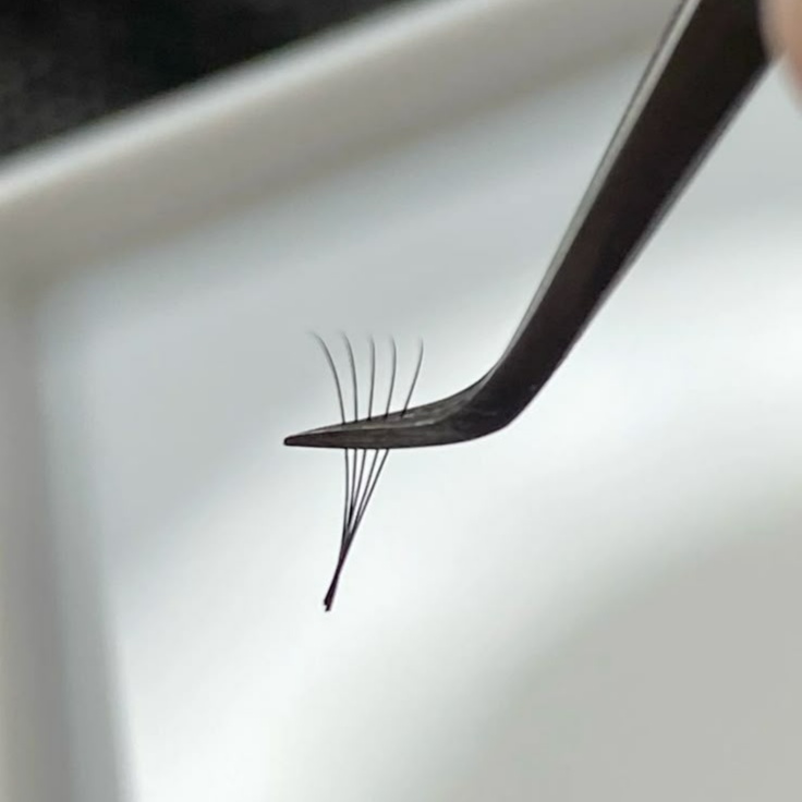 3 Week Mix Fill at Bloom Lash Bar in Wilmington, DE