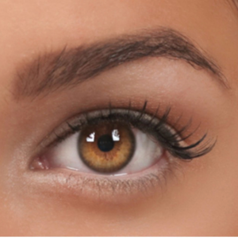 Brow Tint at Silkflower Studio in Malden, MA