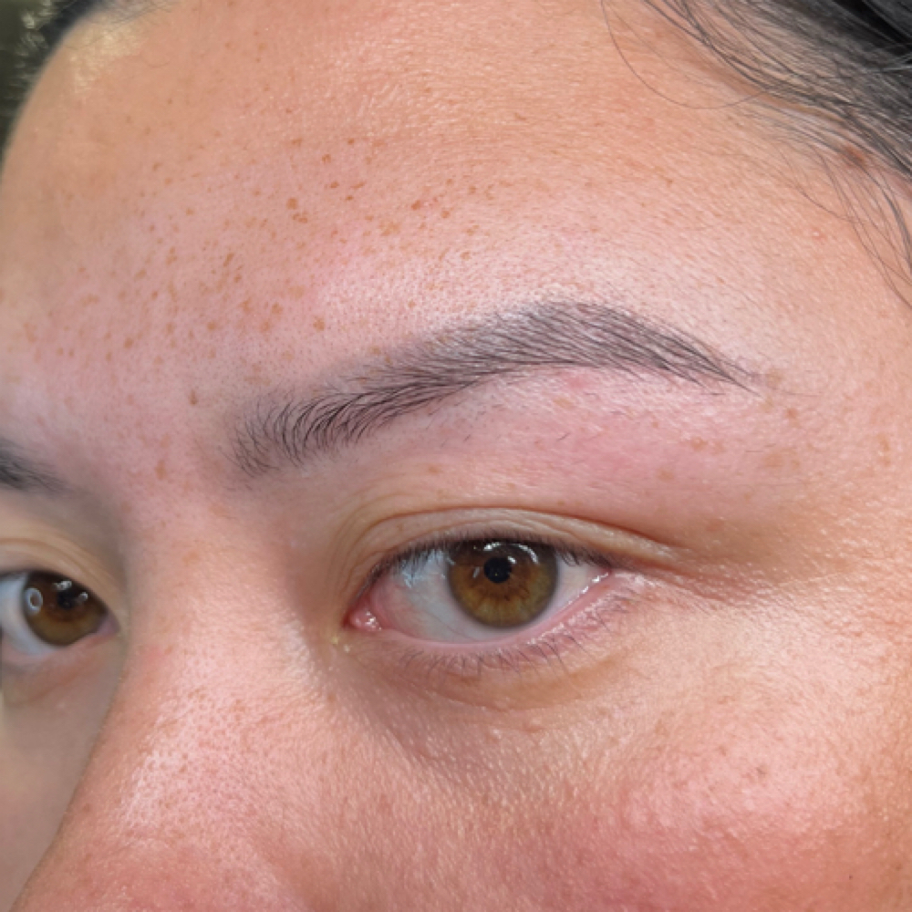 Powder Brows Color Boost at INKED BY KT in Lexington, NC