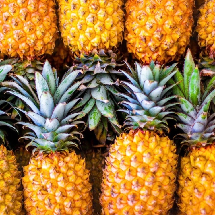 Pineapple Polish Facial at S.T. Esthetics in Michigan City, IN