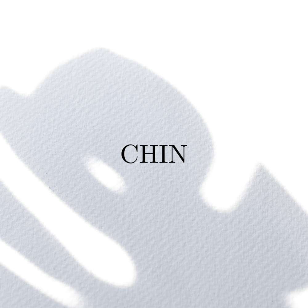 Chin