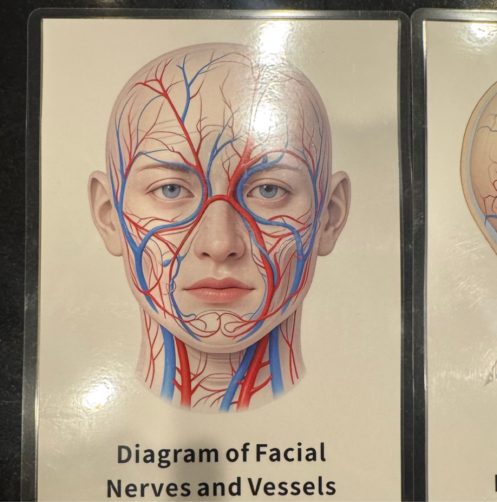 TRAINING PACKAGE-LIPS AND TOX at ˈFæntəsi Lips 👄 in Lewisville, TX