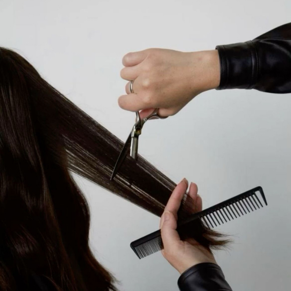 Women’s Cut at Willa Salon & Spa in Owatonna, MN