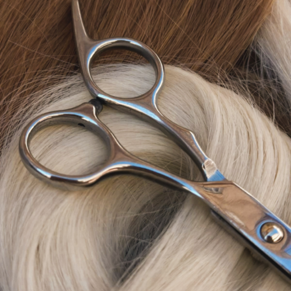 Womens Wash Cut at Salon Canvas & Social in South Pasadena, FL