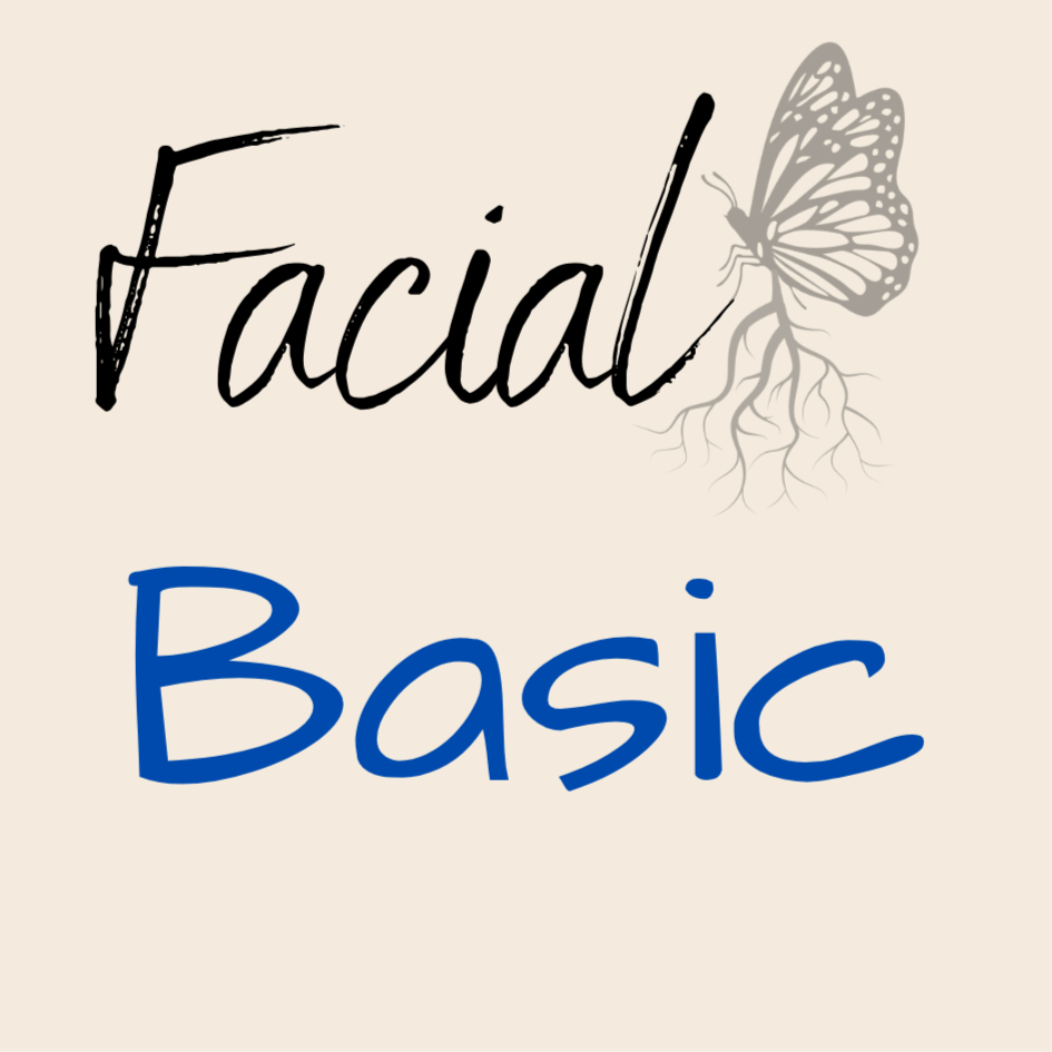 Basic Facial at Monarch and Roots in Winston-Salem, NC
