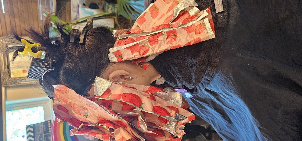 Mini Foil/ Face Frame