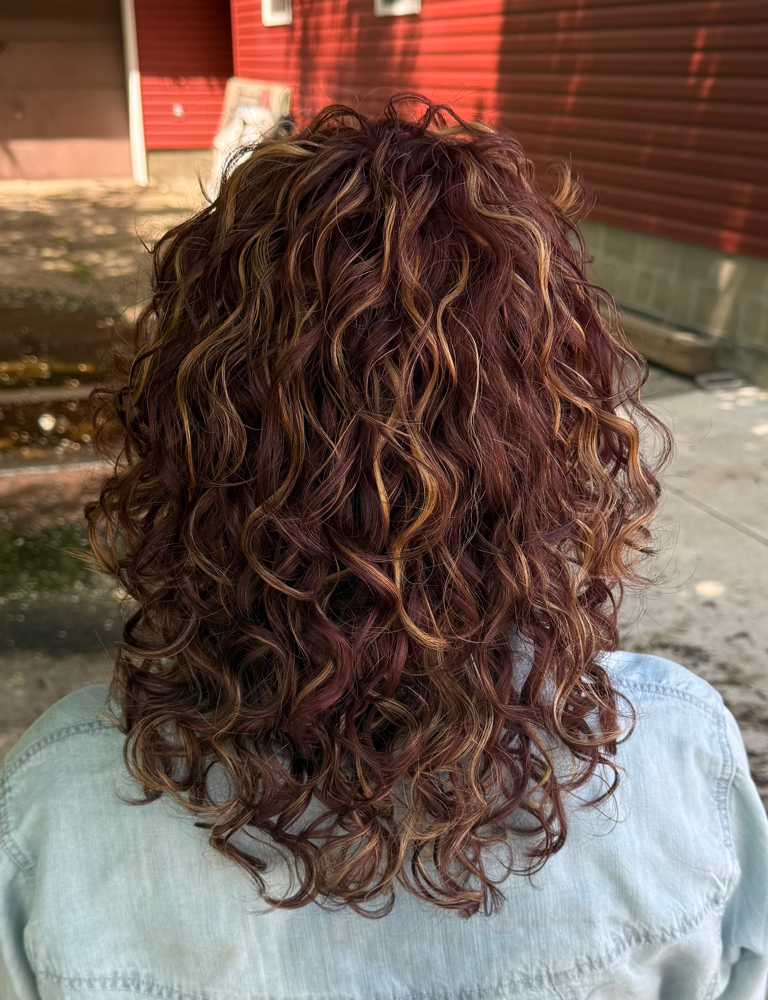 Curly Cut + Color (Return Guests)