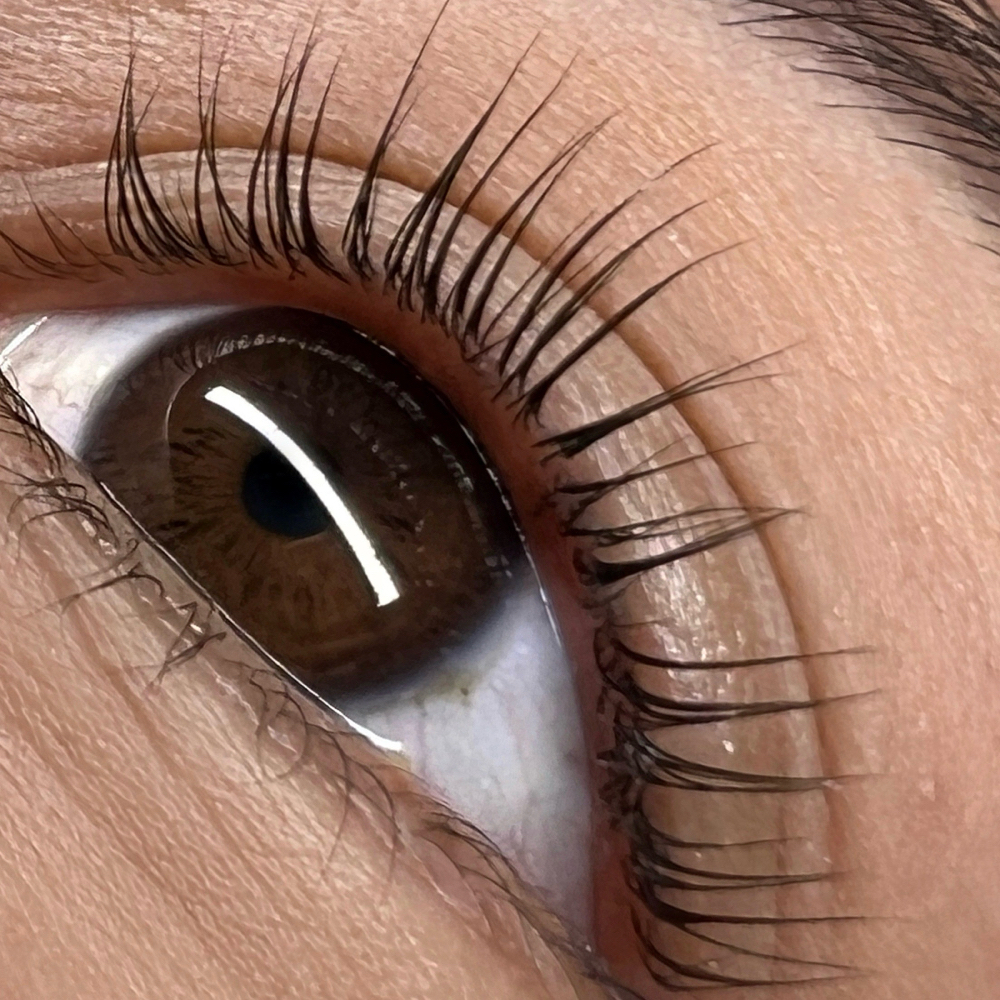 KOREAN LASH LIFT at Maddi The Lash Clinician in Fresno, CA