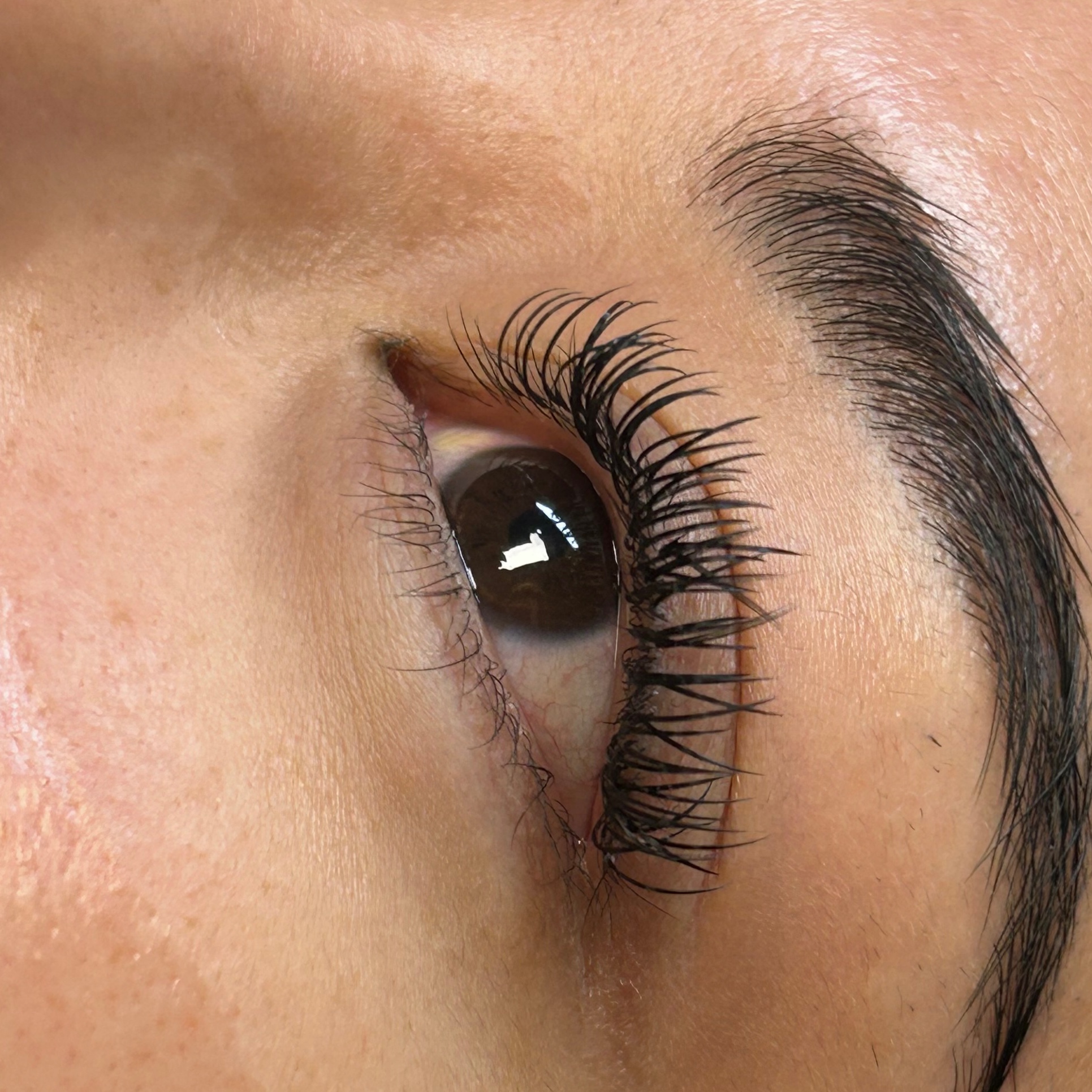 Wet Set Refill at Groovy Lash in Allen, TX