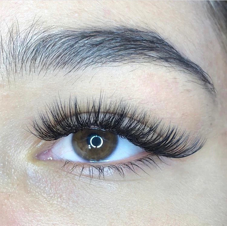 Volume FILL Lash Ext at The Beauty Room in Dundee, FL