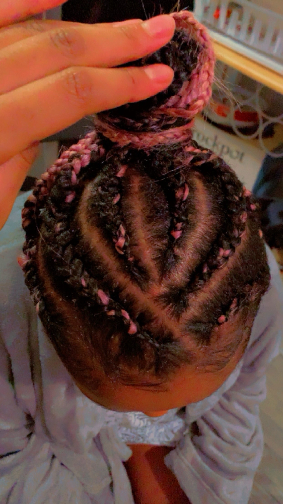 Braided Up Ponytail