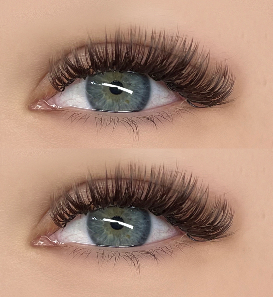 Wet Set / Brown Color