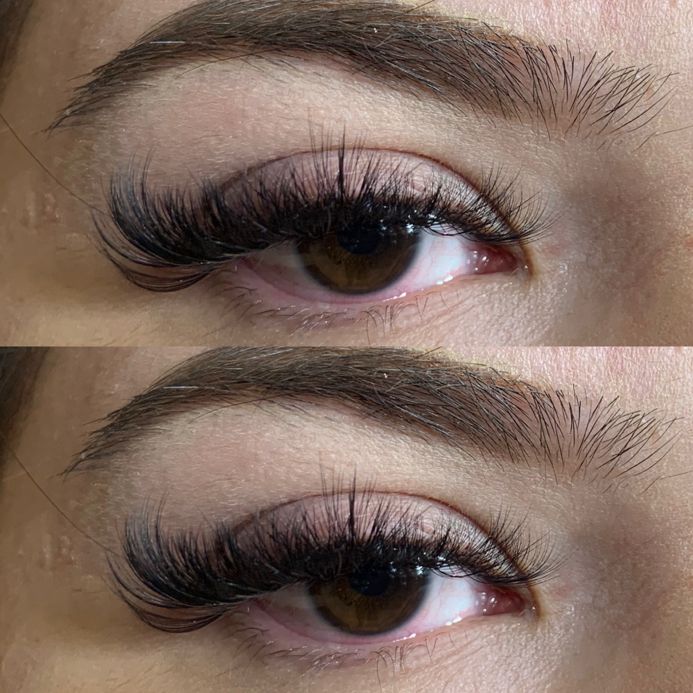 Volume Lashes