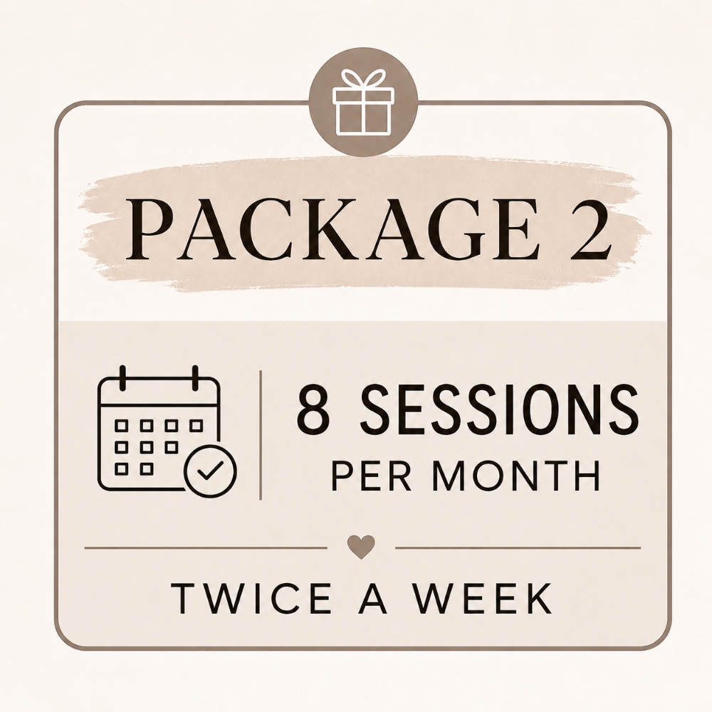 Package 2 (8 sessions) 2x weekly at On The Go Boxing in Nashville, TN