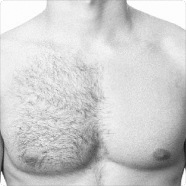 Men's Chest Wax