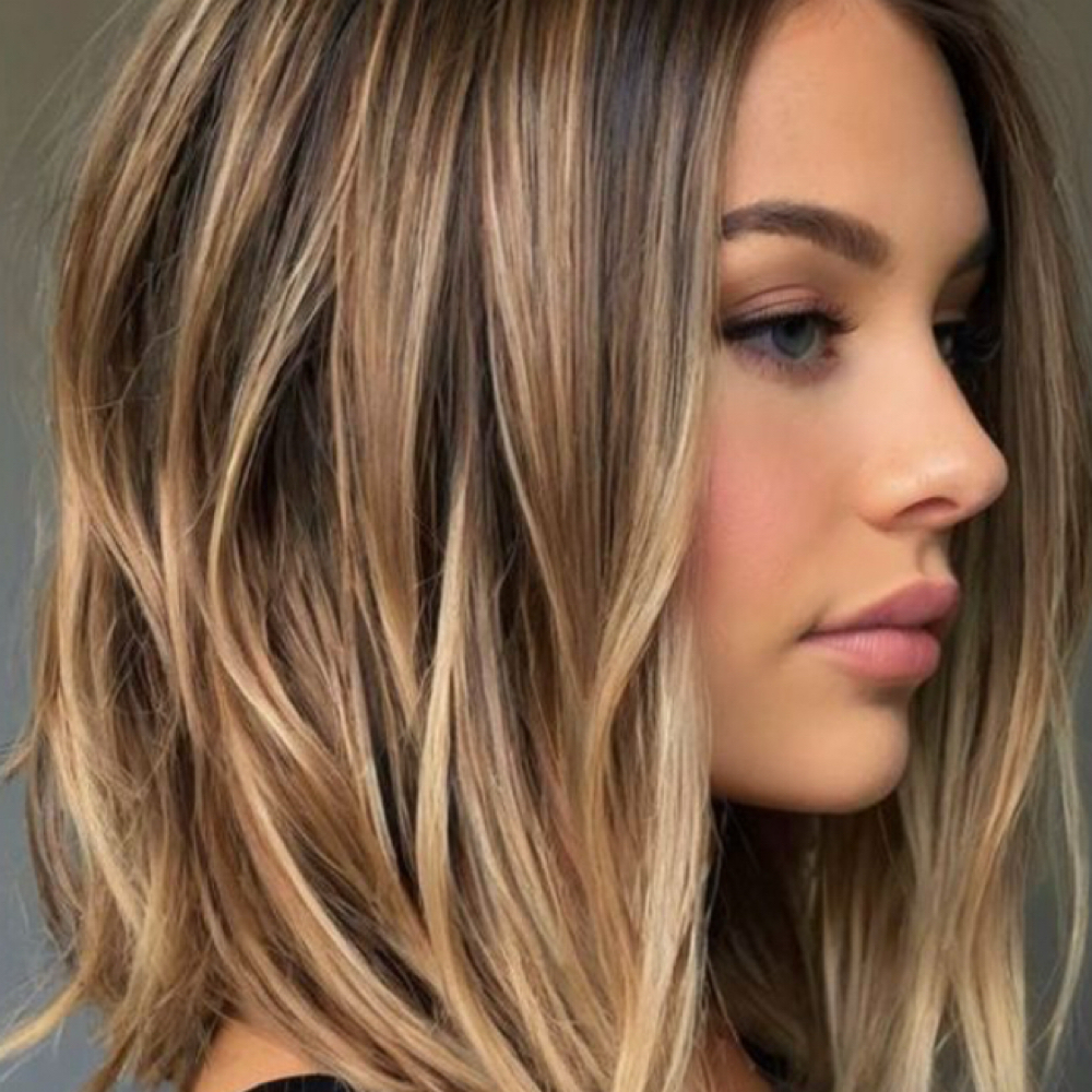 Balayage Haircut And Blowdry