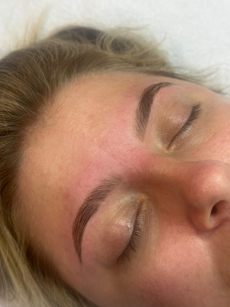Eyebrow Wax & Tint Combo