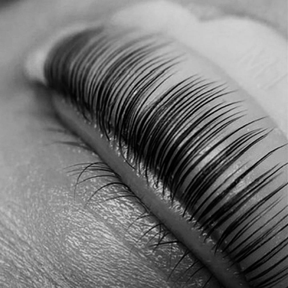 Lash Lift at Brow Bar & Co. in San José, CA