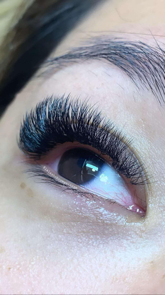 New Set - Mega Volume Lashes