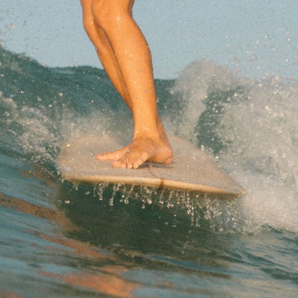 Root Touch Up at Mane Evolution Hair in South Pasadena, FL