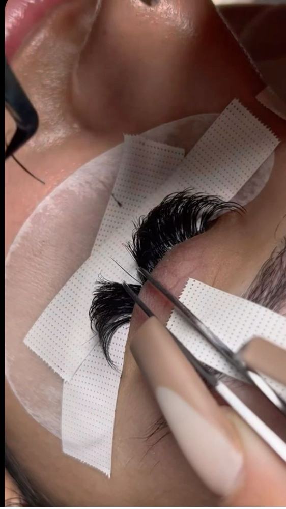 Volume Lash Extension