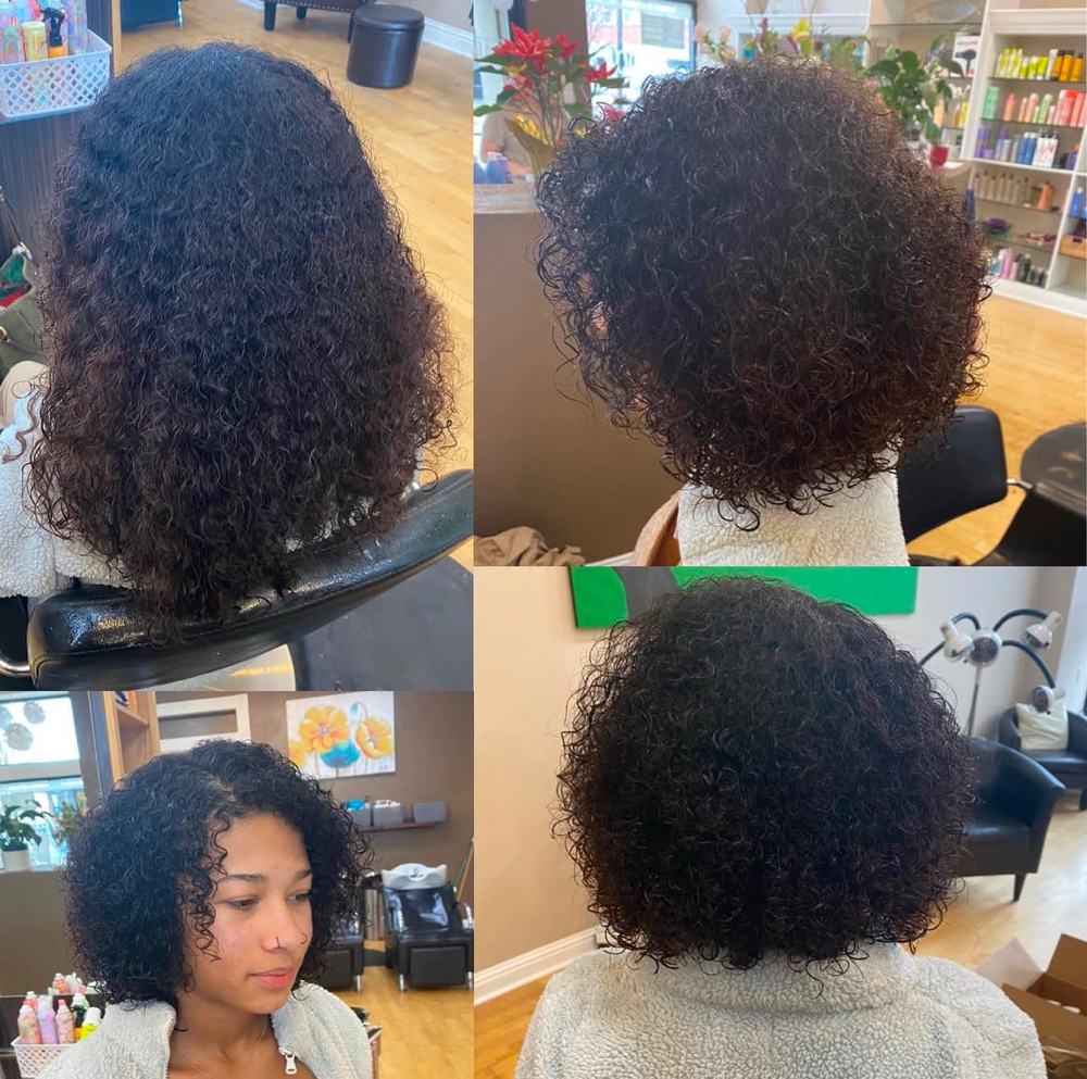 The Revamp-Revamp Your Curls