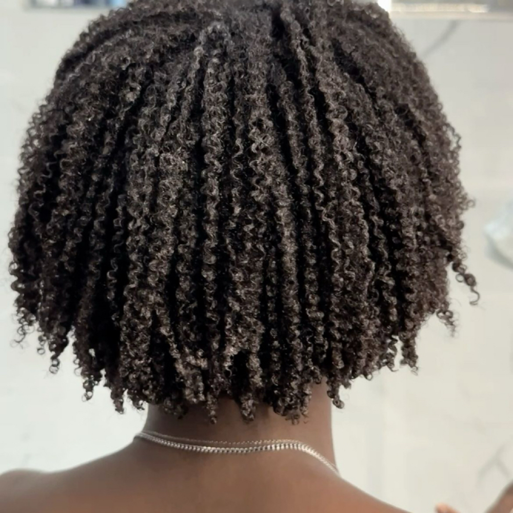 ✨ Signature Curl Definition at Lachezbeautybar, LLC in Manassas, VA