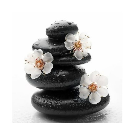 Root & Bloom package at Gentle Balance Massage Therapy in Rogersville, MO
