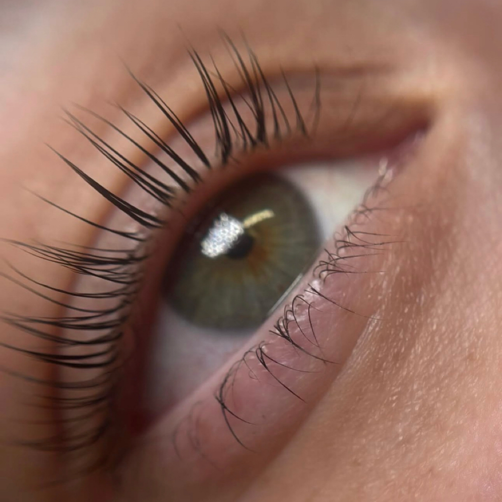 Lash Lift & Tint (Tint Optional) at Misty Lashes Luxe in Fresno, CA