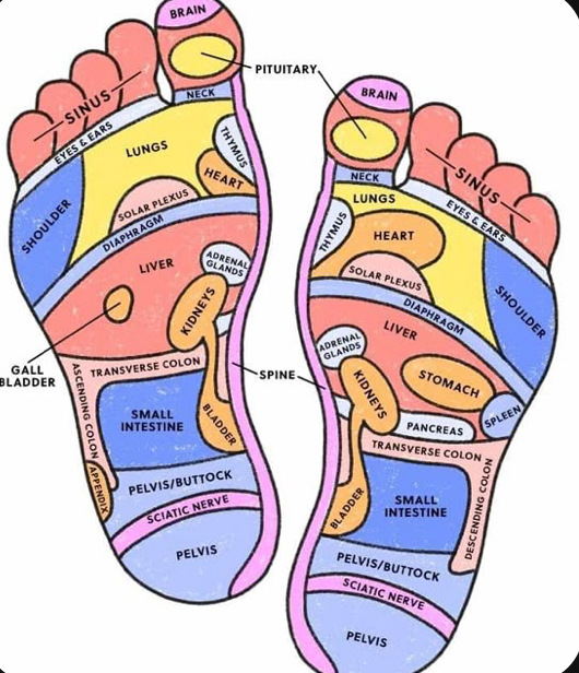 Foot Reflexogy